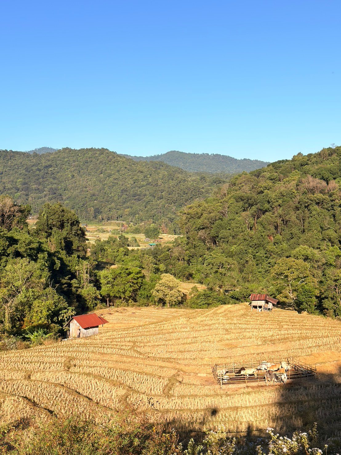 Doi Inthanon waterfall